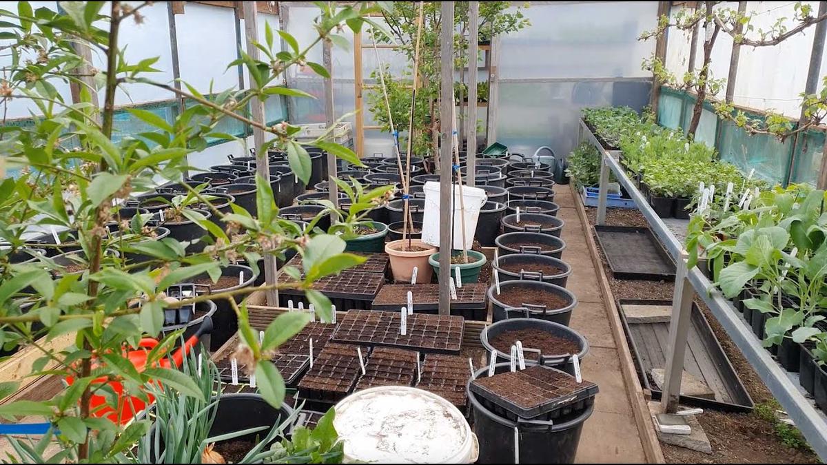 'Video thumbnail for The 1st Garden Tour of 2021 - What's been happening?'