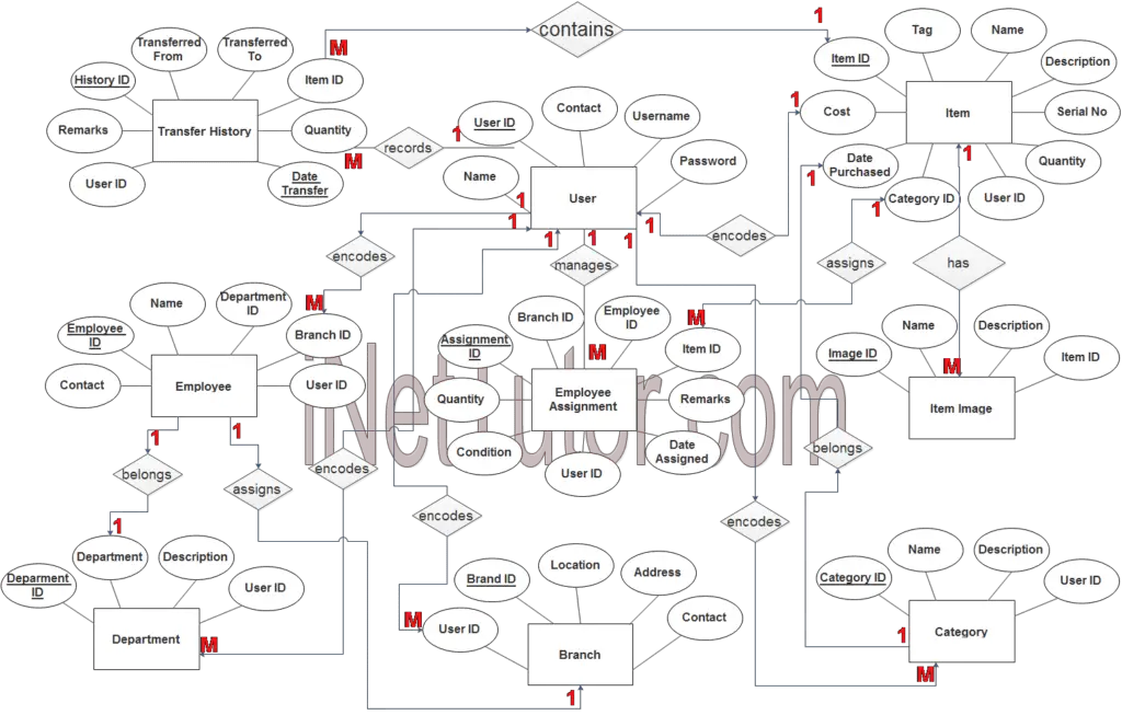 Asset Management System ER Diagram