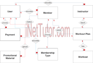 Gym Management System ER Diagram