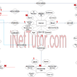 Gym Management System ER Diagram | iNetTutor.com | INetTutor.com