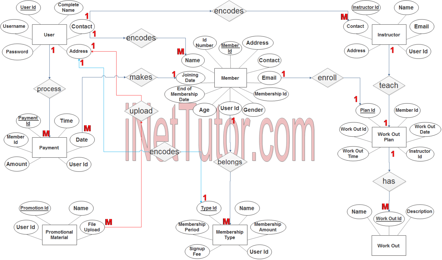 Gym Management System ER Diagram