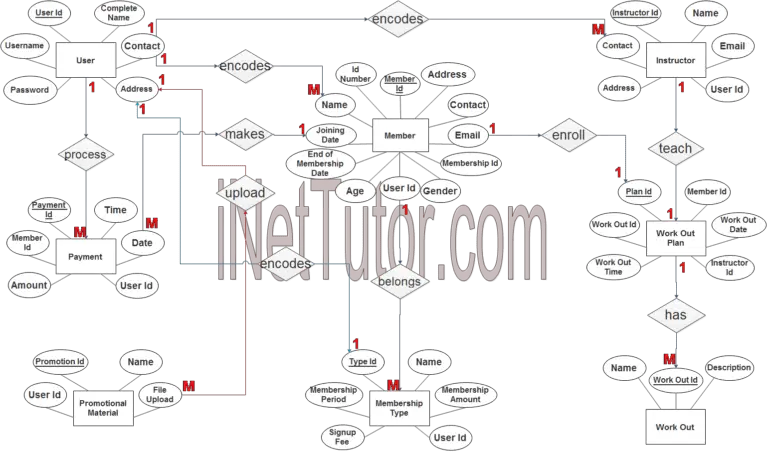 Gym Management System ER Diagram