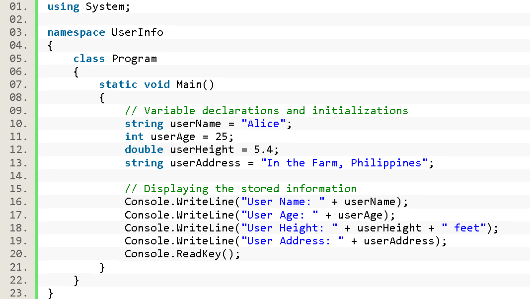 CSharp Variable Tutorial - Example1