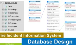 Fire Incident Information System Database Design